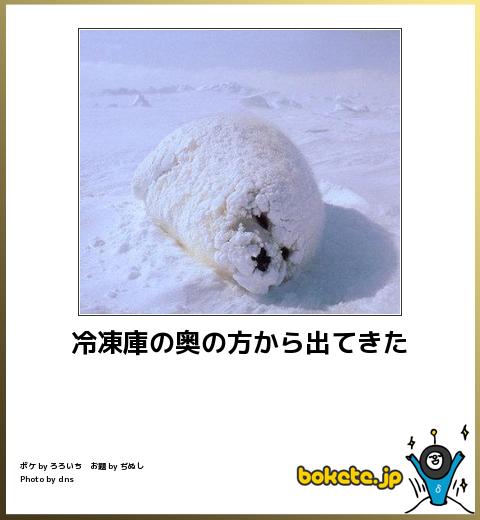 お気に入りのボケてをください