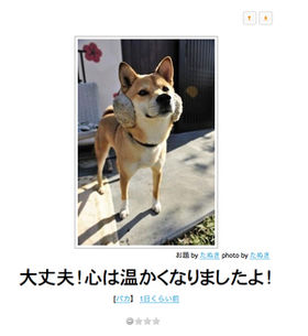 お気に入りのボケてをください