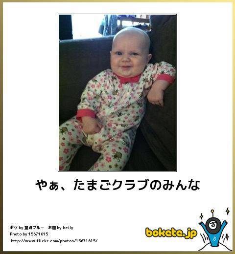 お気に入りのボケてをください