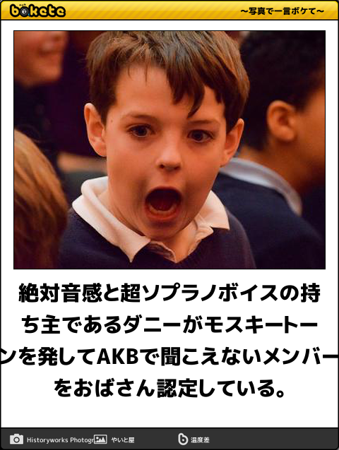 お気に入りのボケてをください