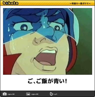 お気に入りのボケてをください