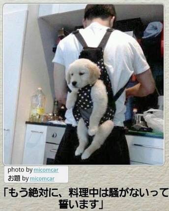 お気に入りのボケてをください