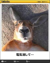 お気に入りのボケてをください