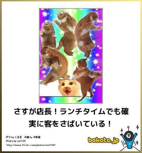 お気に入りのボケてをください