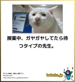 お気に入りのボケてをください