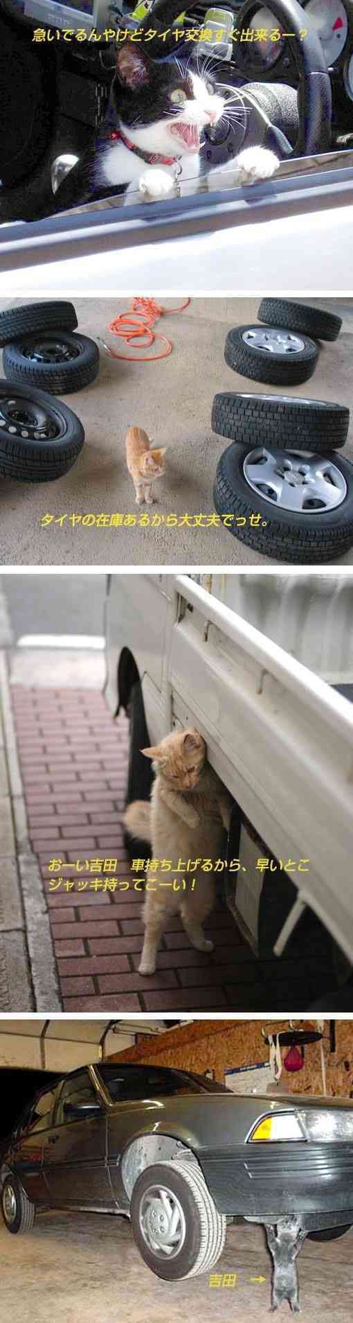 お気に入りのボケてをください