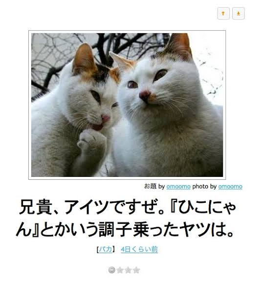 お気に入りのボケてをください