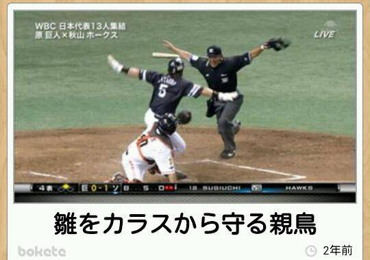 お気に入りのボケてをください