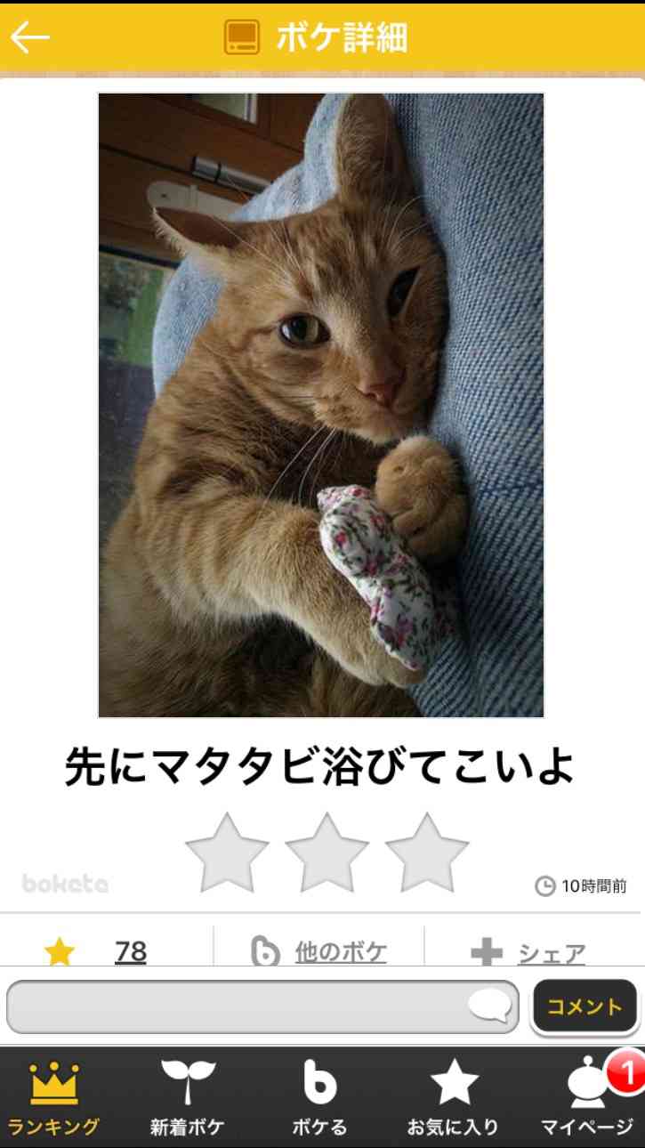 お気に入りのボケてをください