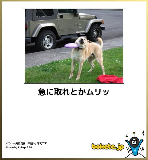 お気に入りのボケてをください