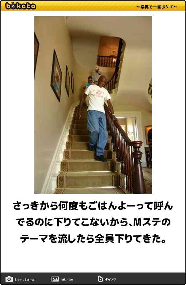 お気に入りのボケてをください