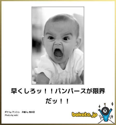 お気に入りのボケてをください