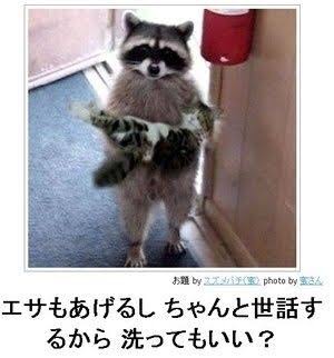 お気に入りのボケてをください