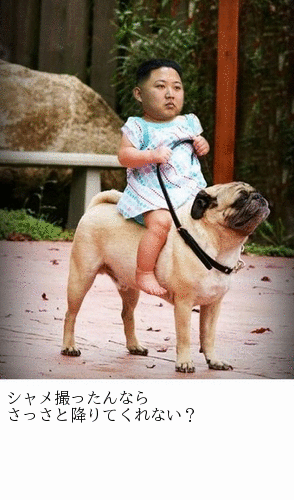 お気に入りのボケてをください