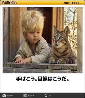 お気に入りのボケてをください