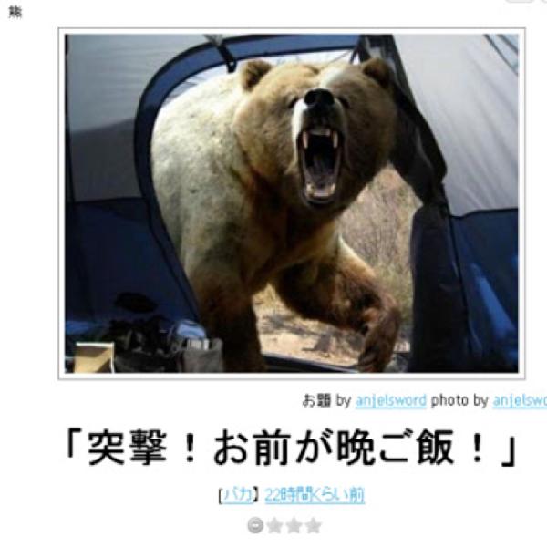 お気に入りのボケてをください