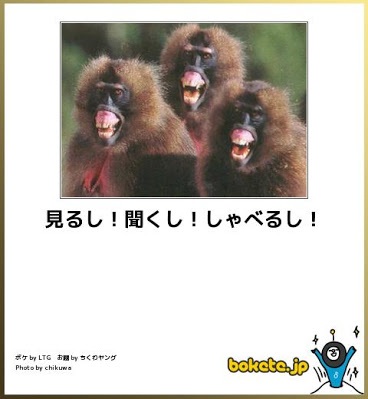 お気に入りのボケてをください
