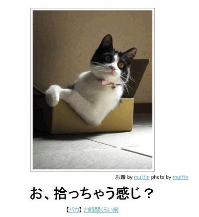 お気に入りのボケてをください