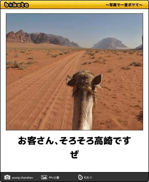 お気に入りのボケてをください