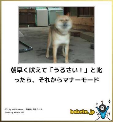 お気に入りのボケてをください