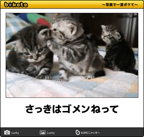お気に入りのボケてをください