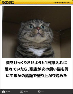 お気に入りのボケてをください