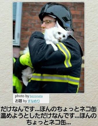 お気に入りのボケてをください