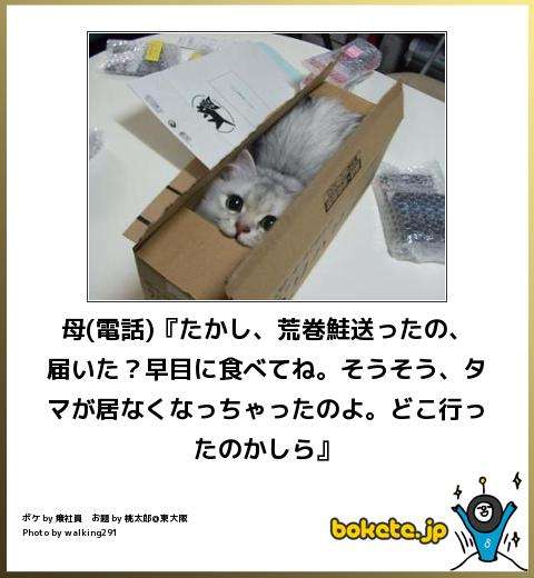 お気に入りのボケてをください