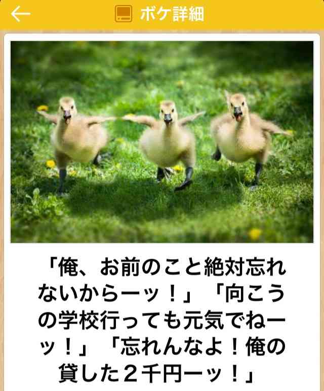 お気に入りのボケてをください