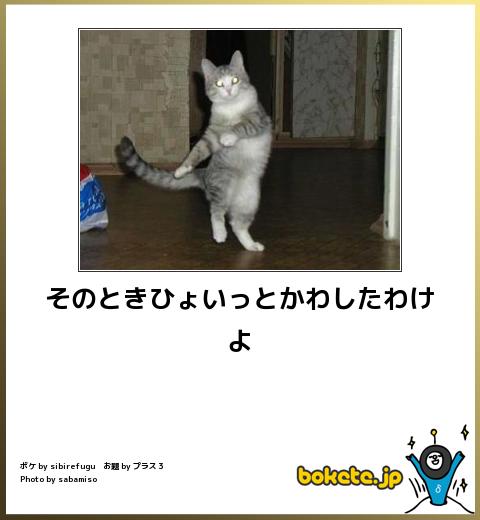 お気に入りのボケてをください