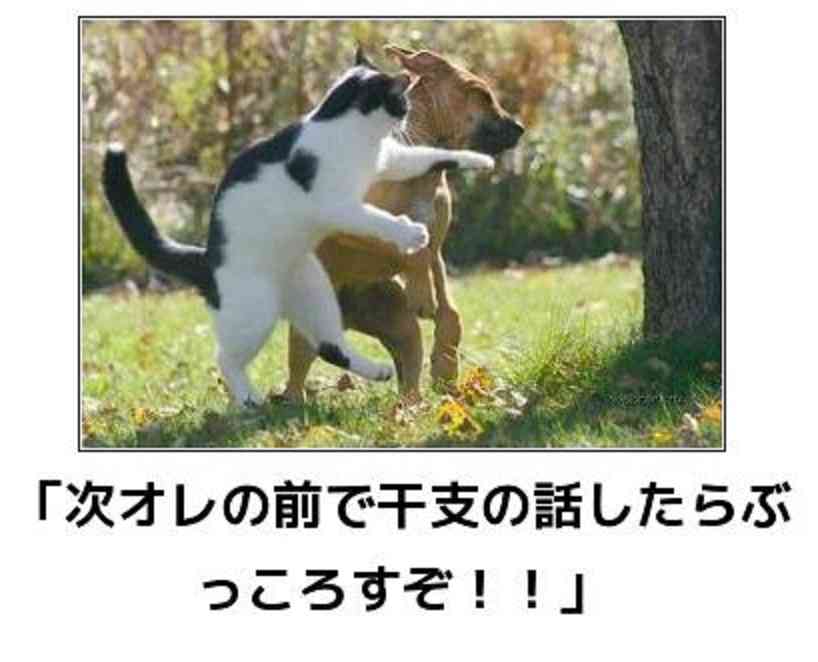 お気に入りのボケてをください