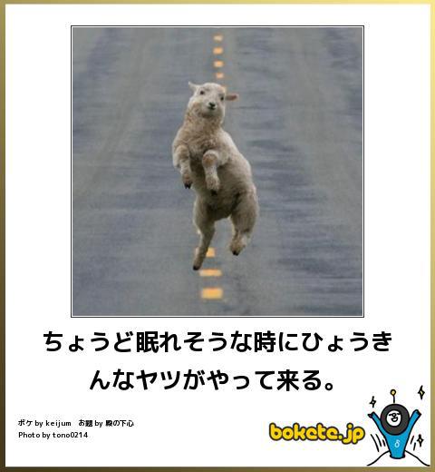 お気に入りのボケてをください