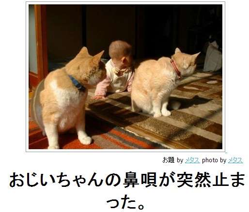 お気に入りのボケてをください