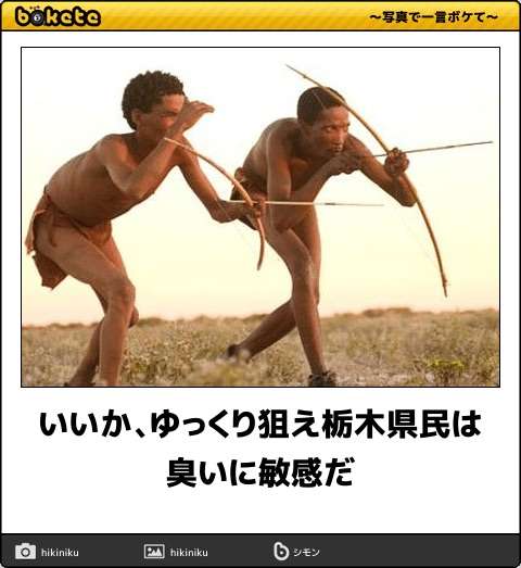 お気に入りのボケてをください