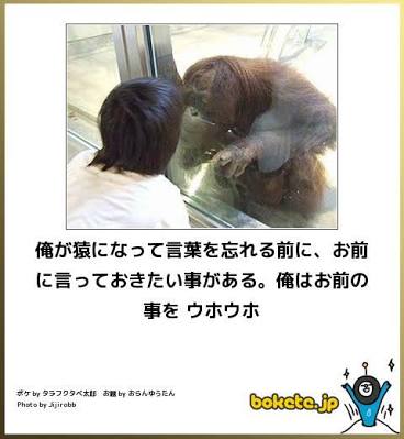 お気に入りのボケてをください