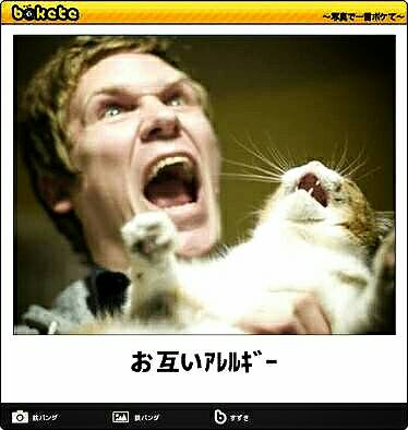 お気に入りのボケてをください