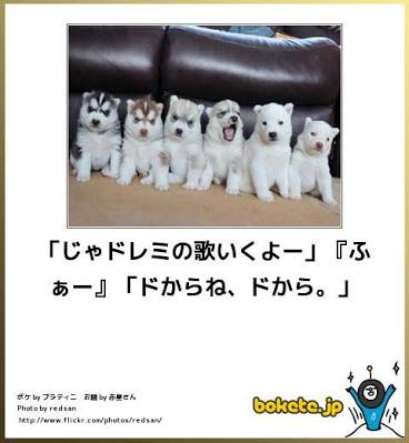 お気に入りのボケてをください