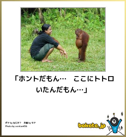 お気に入りのボケてをください