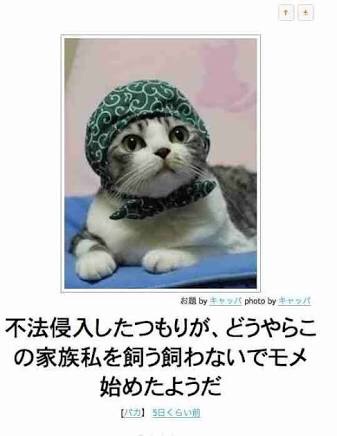 お気に入りのボケてをください