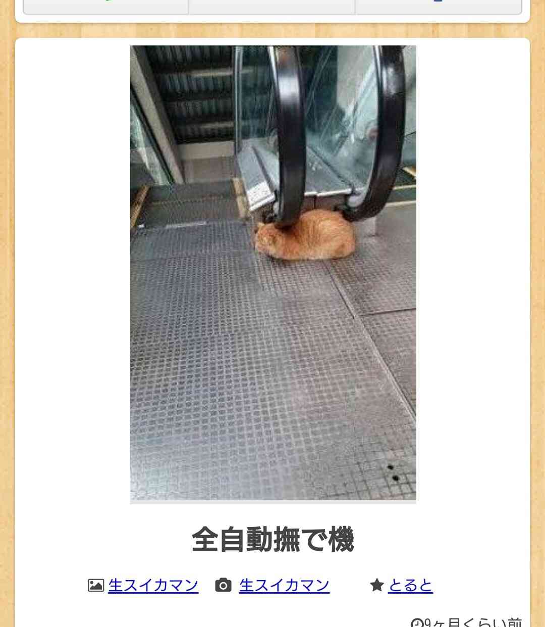 お気に入りのボケてをください