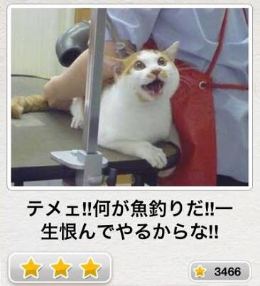 お気に入りのボケてをください