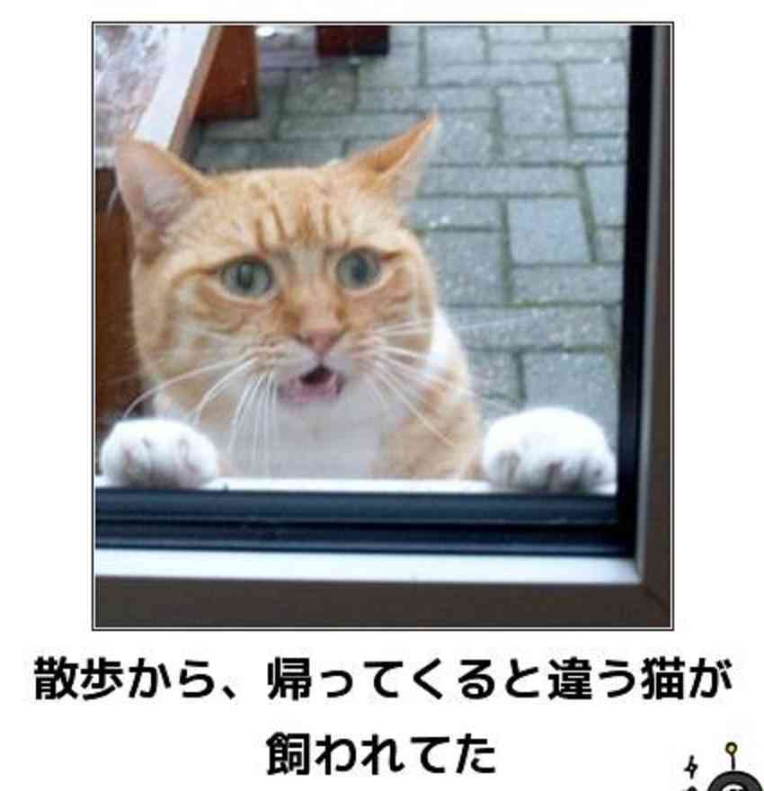 お気に入りのボケてをください