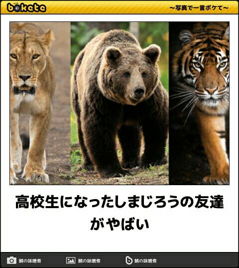 お気に入りのボケてをください
