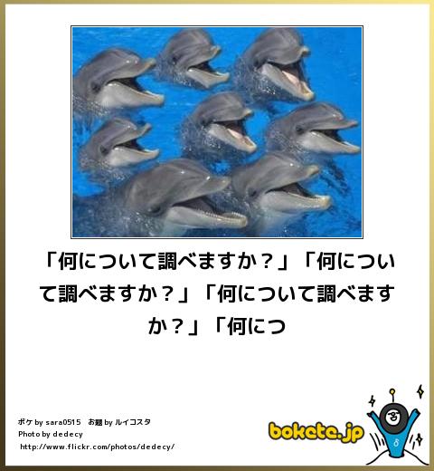 お気に入りのボケてをください