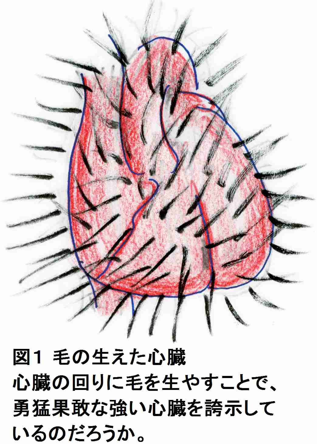 おばさんになってみて気にしなくなった事