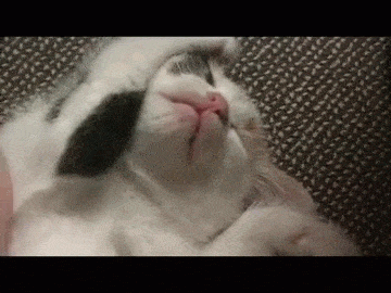 きちんと休めてますか？