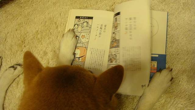 学年末テストに向けて勉強してる人！