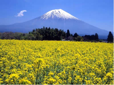 20000円で旅行！
