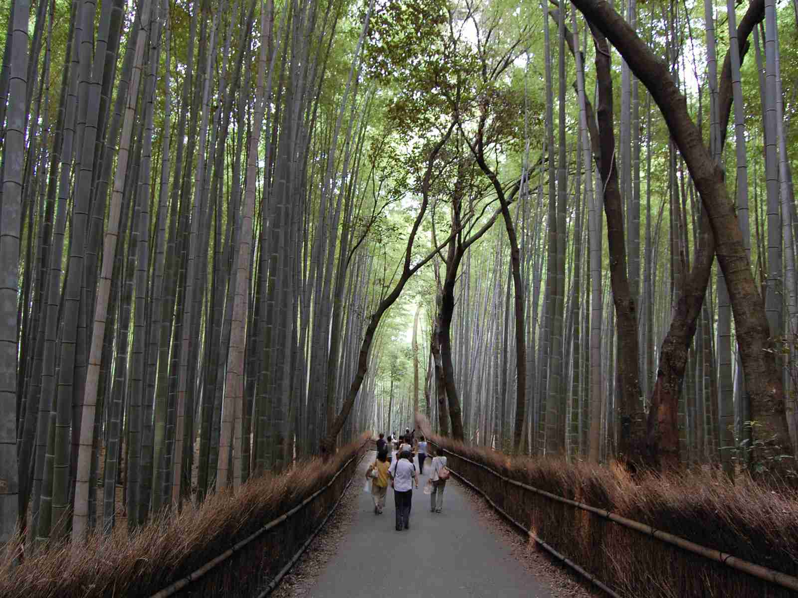 20000円で旅行！