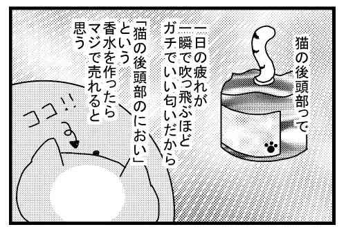 動物のかわいい後頭部画像ください